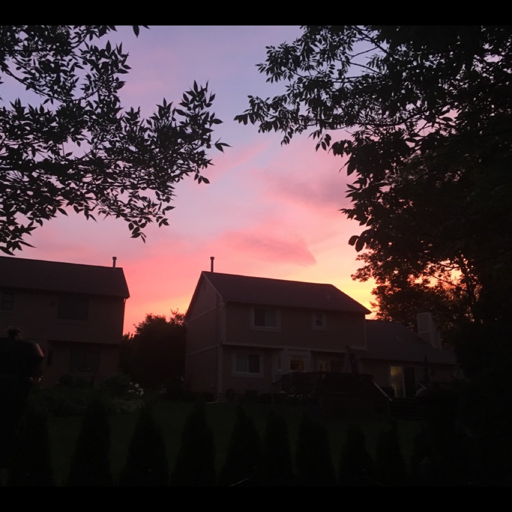 Meet your Posher, Alexis